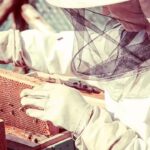 How to become a Beekeeper